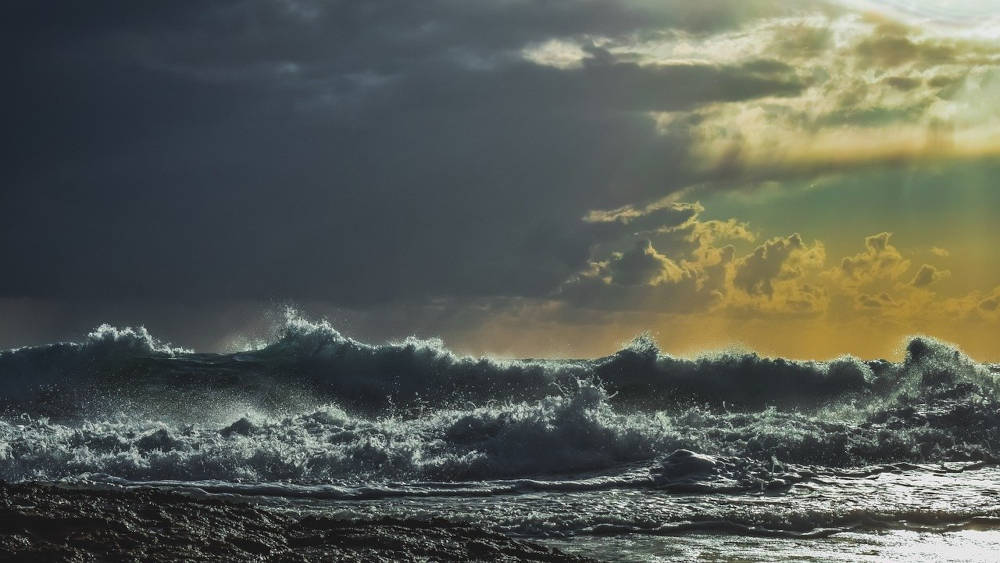 pêche occitanie littoral méditerranée