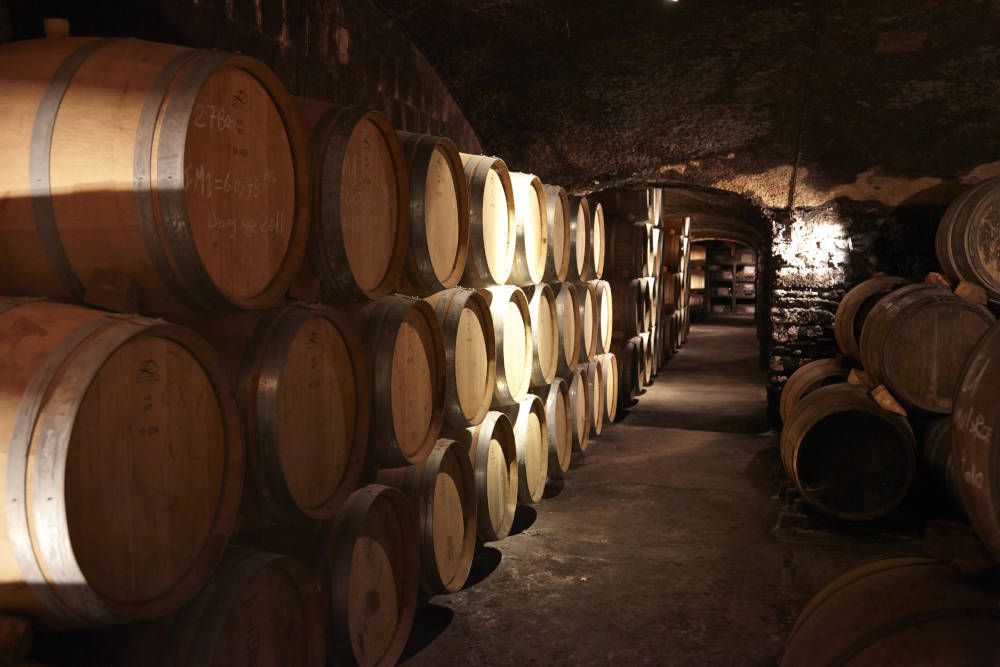 visite cave cuve pyrénées orientales