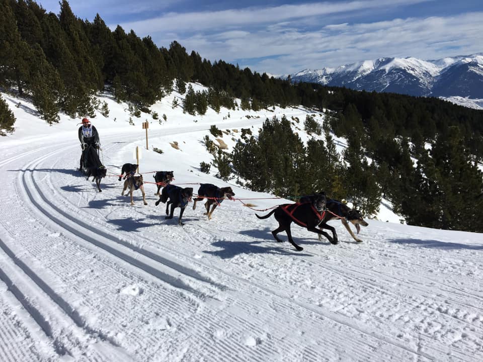 activité montagne musher