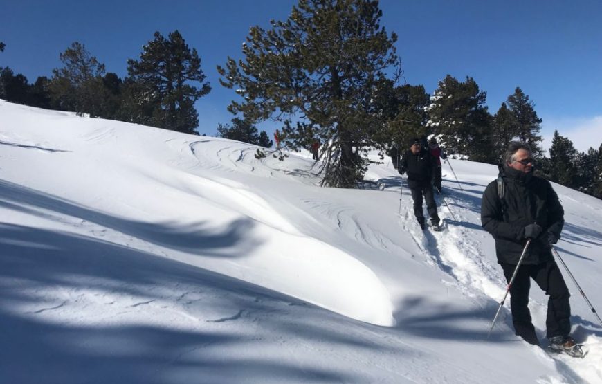 activité loisirs montagne neige hiver