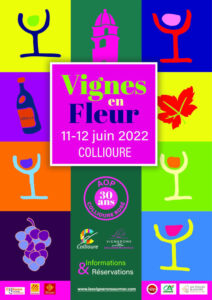 vignes en fleur collioure animation vin dégustation cote vermeille
