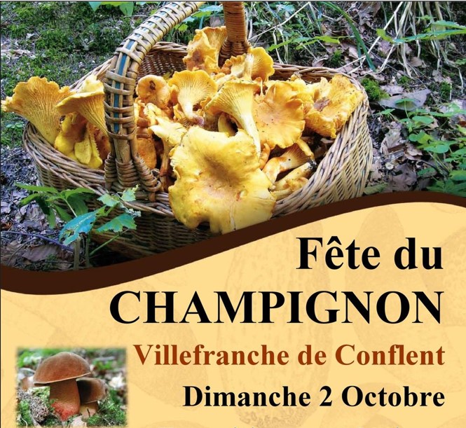 fete conflent champignon livres repas plat dégustation automne menu auteurs