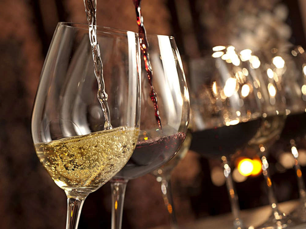 dégustation vin d'exception évènement oenologie terroir viticole catalan pyrénées orientales
