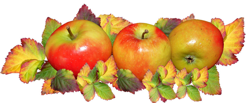 pommes fête