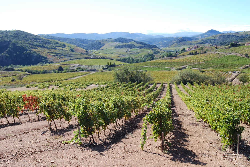 Fenouillèdes vignerons de Trémoine jeu de piste escape game aventure pleine nature vigneronne pyrénées orientales