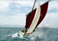 barque catalane canet-en-roussillon PO66