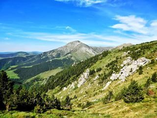 Randonnée dans la réserve naturelle de Prats-de-Mollo la Preste 👣⛰💚
#nature #payscatalan #paysage #naturelovers #spot #pyreneesorientales #randonnée #summer #keepcalm #energy #amazing #beautiful_world #trekking #outdoors #irouicome