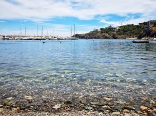 Des eaux transparentes, de la tranquillité, des galets, une réserve marine... bienvenue à Cerbère dans les Pyrénées Orientales 
#pyreneesorientales #nature #mer #vacances #blue #mediterranee #france_vacations #focus #suddefrance #payscatalan #naturephotography #naturelover #tourisme #holidayseason #summertime #irouicome