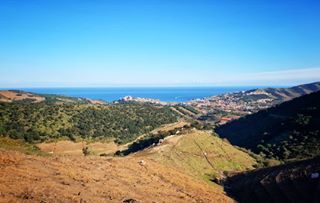 Balade sur les hauteurs de Banyuls 👣👣👣
#pyreneesorientales #banyuls #payscatalan #southoffrance #balade #nature #paysage #beautifuldestinations #view #landscape #holiday #enjoy #france_focus_on #irouicome