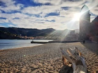 Collioure, janvier 2020 
Toujours un pure moment de bonheur, de sérénité et de douceur 💙
#collioure #payscatalan #pyreneesorientales #landscape #nature #sud #france #picoftheday #happy #beauty #amazing #place #photooftheday #travelgram #instagram #love #welcome #2020 #slowlife #happiness #irouicome
