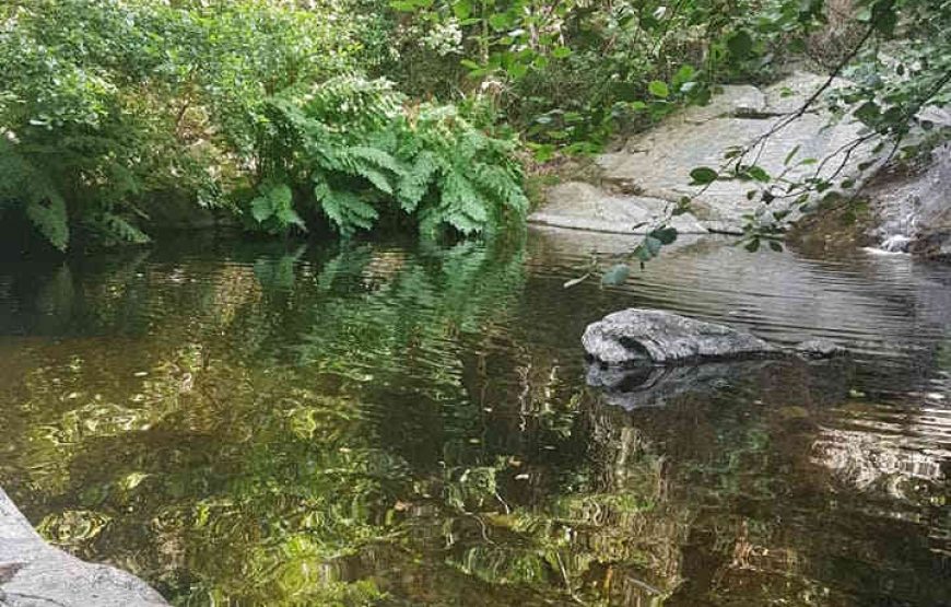 Balade au fil de l’Eau & Chants des oiseaux