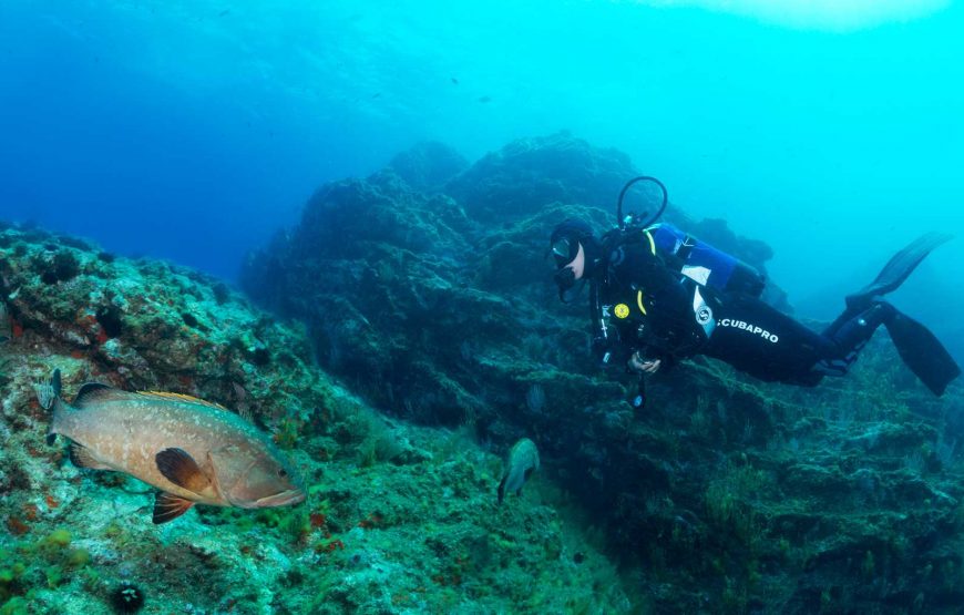 Formation Plongeur Débutant (Scuba Diver)