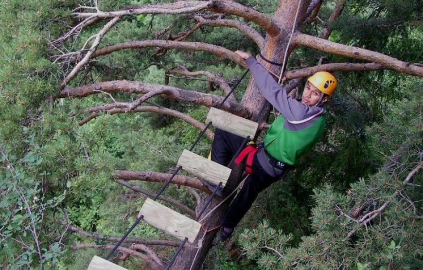 Via Ferrata (demi-journée)