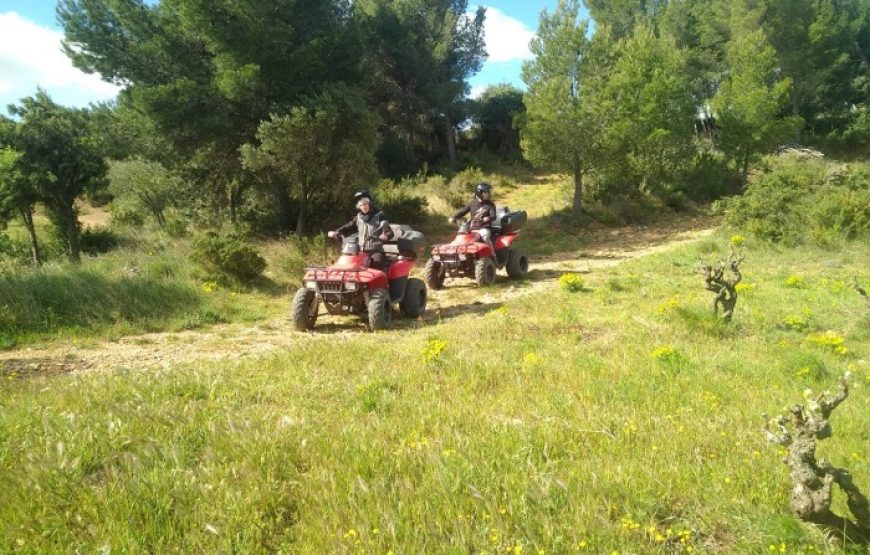 Randonnée en quad 1h30