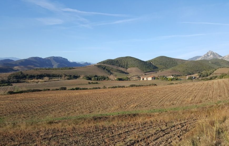 Balade vigneronne sur les chemins du Pays Cathare (demi-journée)