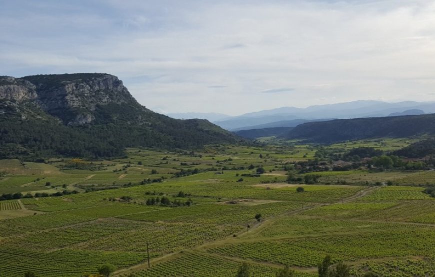 Balade vigneronne sur les chemins du Pays Cathare (demi-journée)