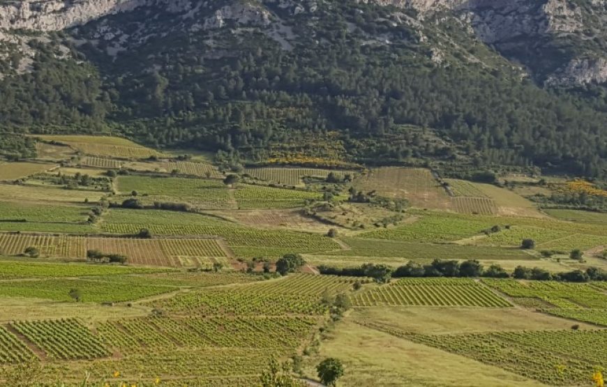 Balade vigneronne à Tautavel (Demi-journée)