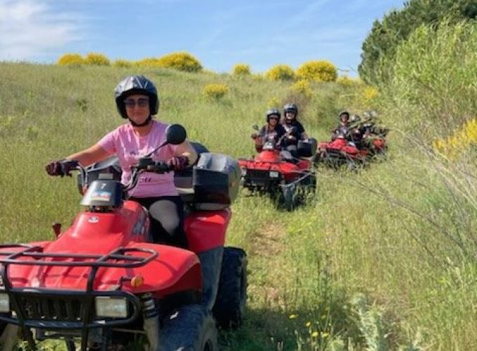 Votre plateforme de réservation d'activités dans les Pyrénées-Orientales