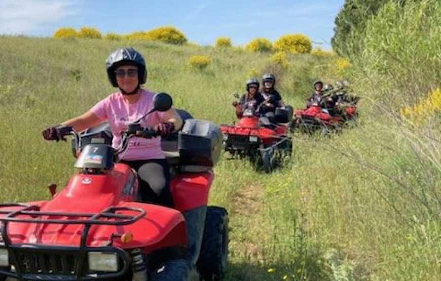 Randonnée en quad