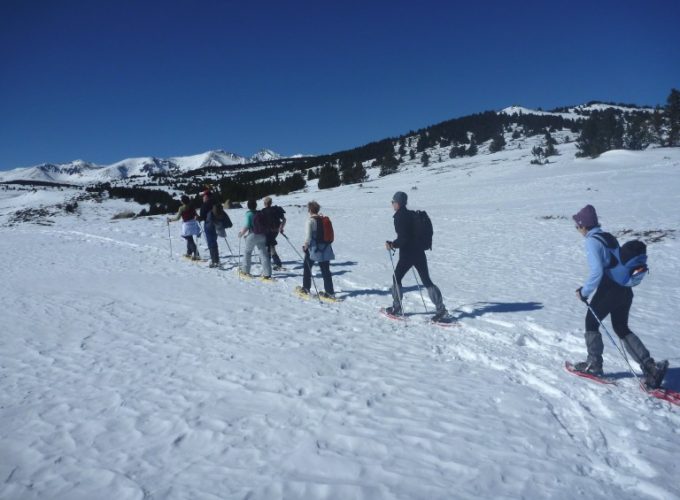 Votre plateforme de réservation d'activités dans les Pyrénées-Orientales