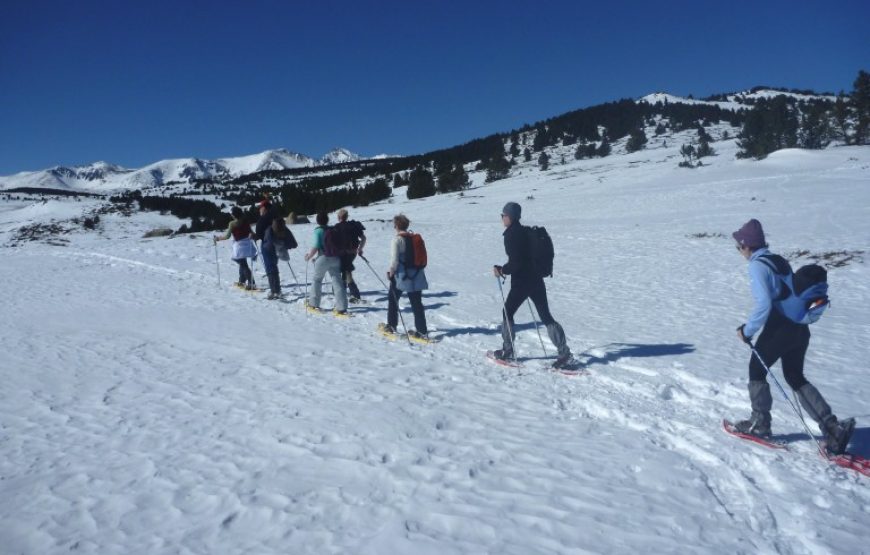 Randonnée et Balade en Raquettes à Neige à Font-Romeu