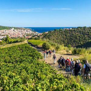 que faire pyrénées orientales banyuls collioure