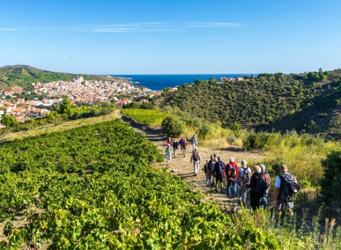 Votre plateforme de réservation d'activités dans les Pyrénées-Orientales