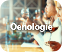 oenologie-minia-res