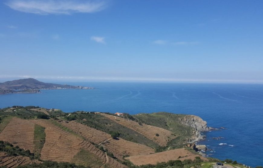 Balade vigneronne sur les hauteurs de Collioure (Demi- journée)