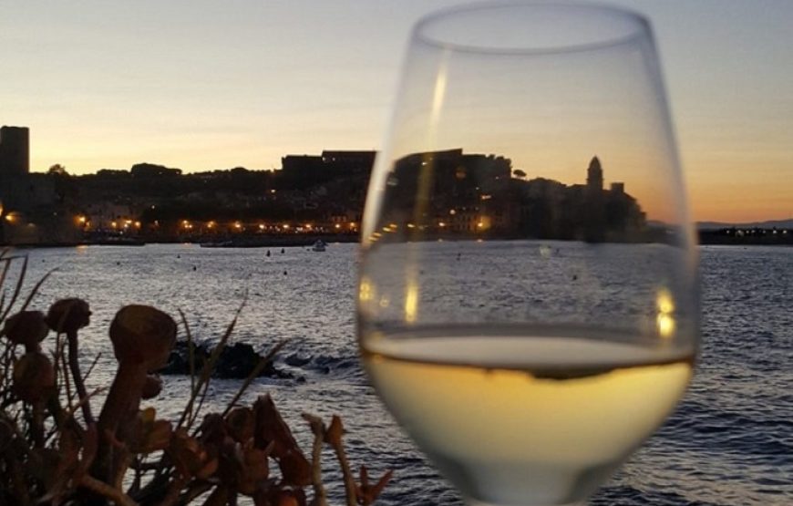 Balade vigneronne sur les hauteurs de Collioure (Demi- journée)