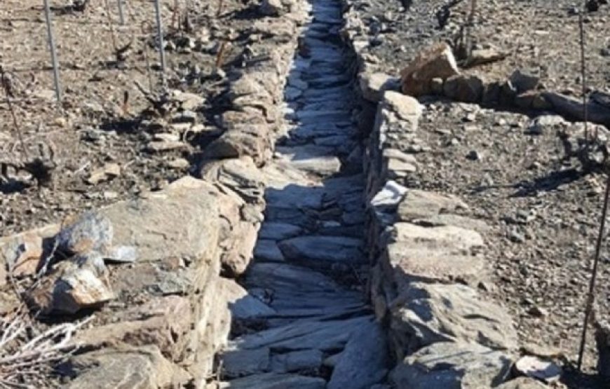 Balade vigneronne : découverte des vignobles de Banyuls & Collioure (1 jour)