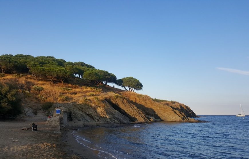 Balade vigneronne : découverte des vignobles de Banyuls & Collioure (1 jour)