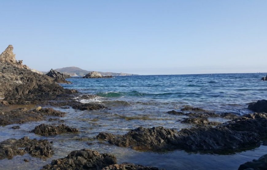 Balade vigneronne : découverte des vignobles de Banyuls & Collioure (1 jour)