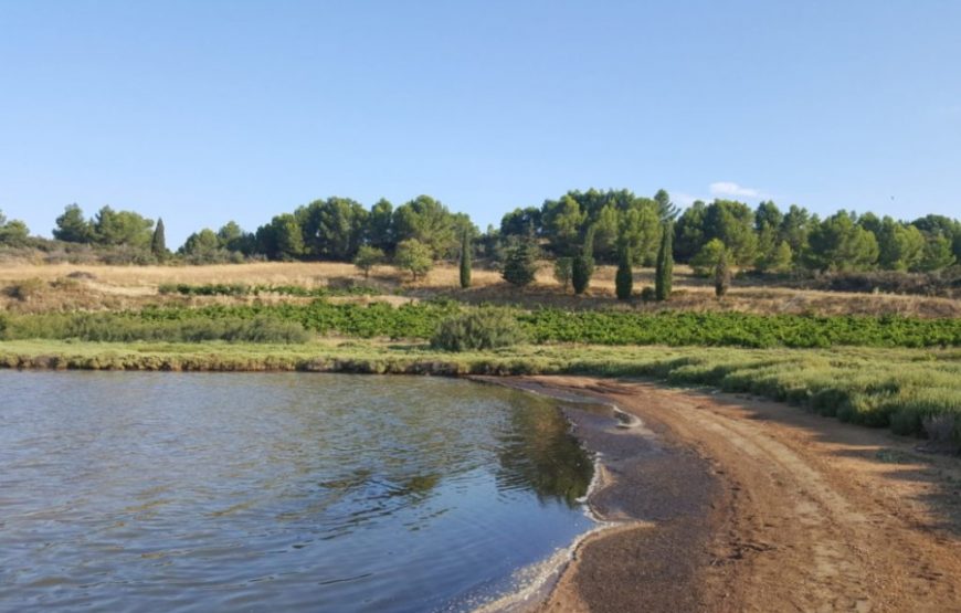 Balade vigneronne dans les Corbières (1/2journée)