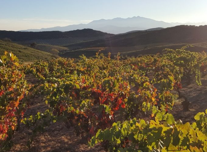 Votre plateforme de réservation d'activités dans les Pyrénées-Orientales