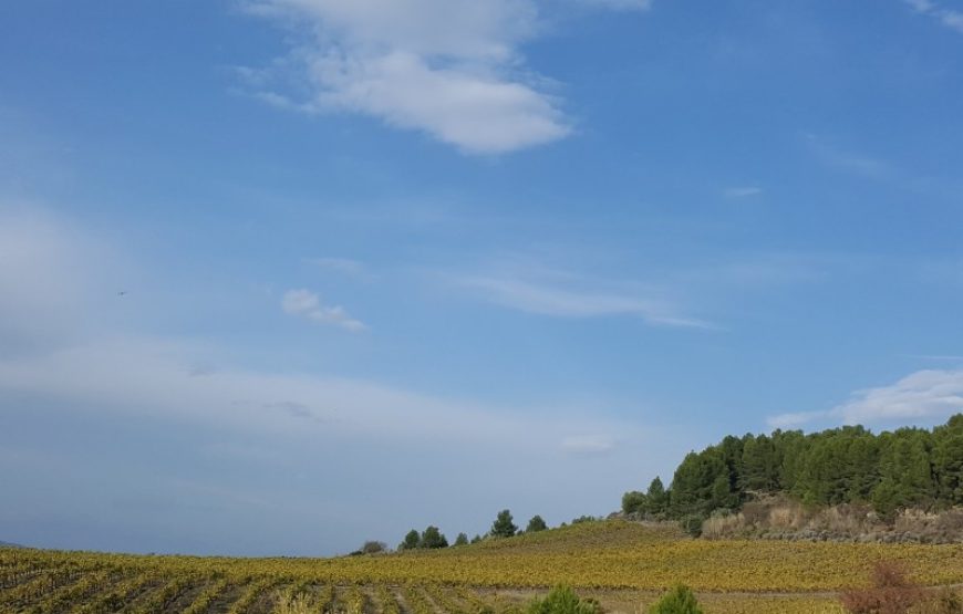 Balade vigneronne à la découverte de terroirs secrets (1 jour)