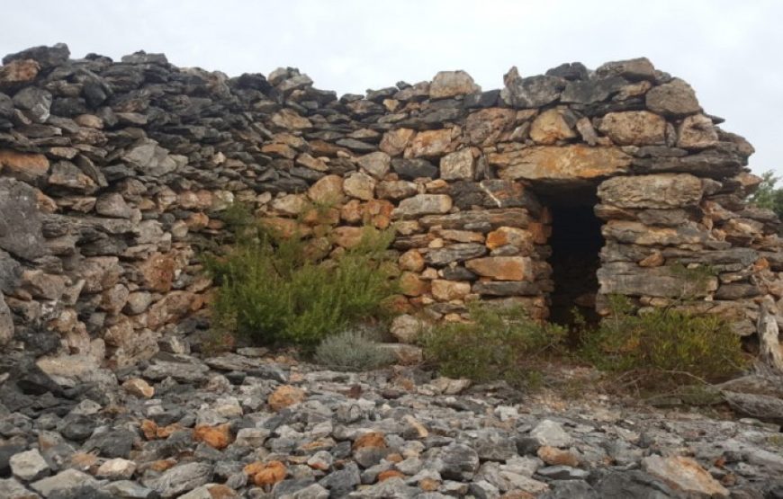 Balade vigneronne à la découverte de terroirs secrets (1 jour)