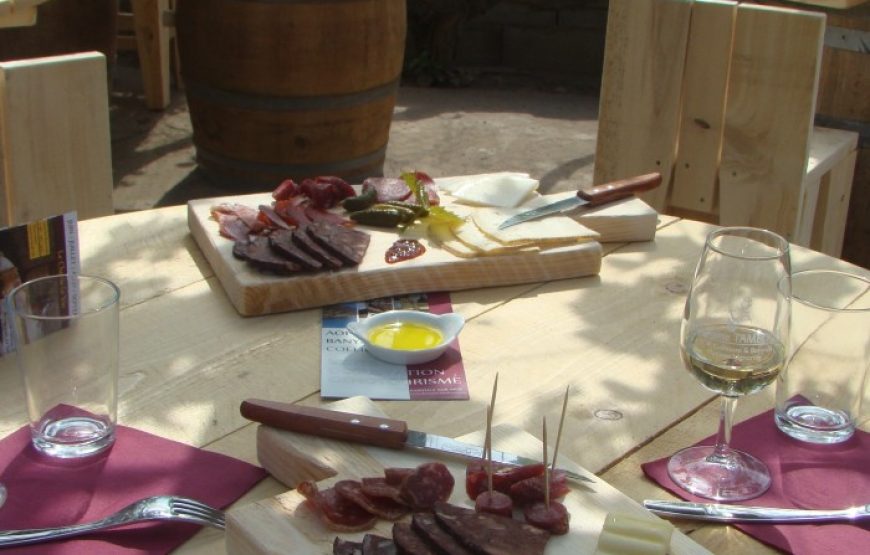 Dégustation à Banyuls