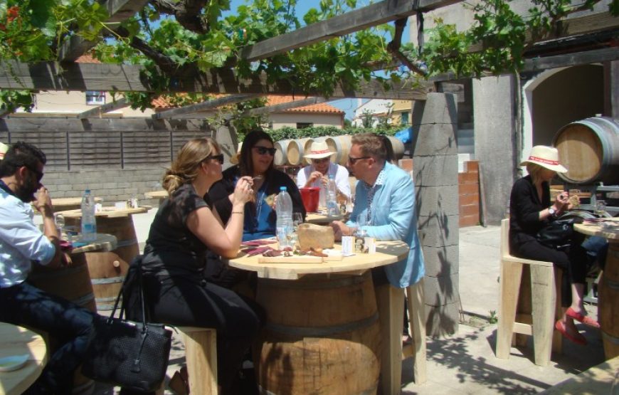 Dégustation à Banyuls