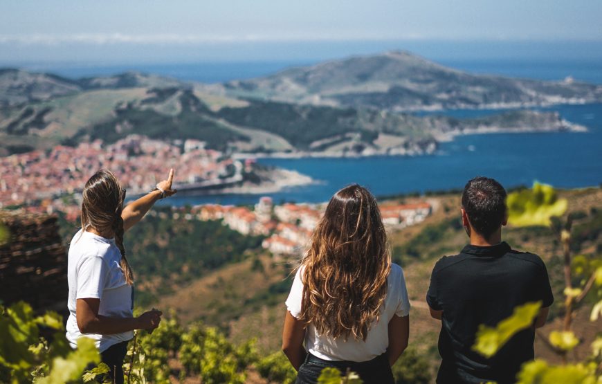 Randonnée découverte d’un vignoble de Banyuls et de ses chais