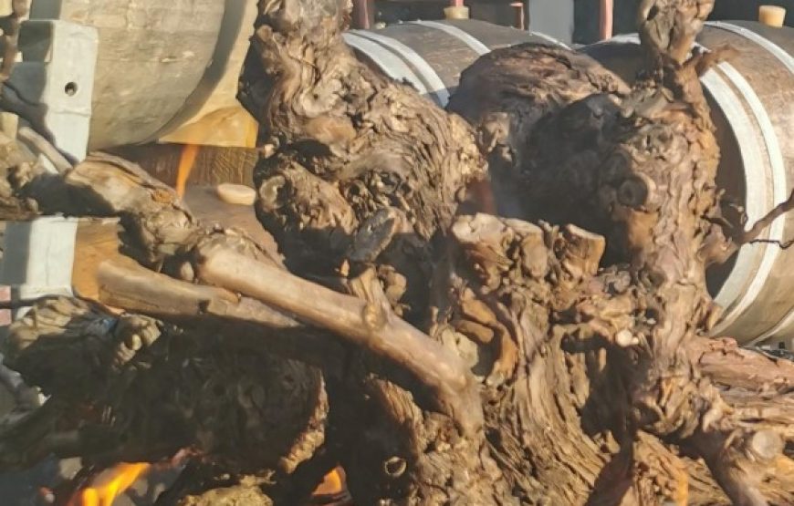 Côte de Bœuf Party dans un Domaine viticole à Banyuls (2h30)