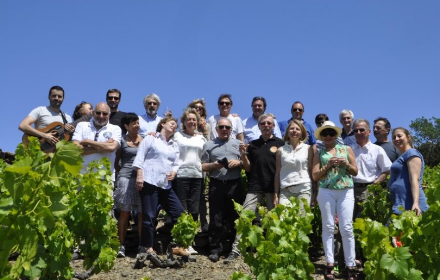 Randonnée découverte d’un vignoble de Banyuls et de ses chais