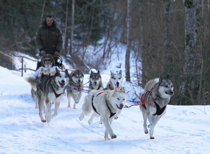 Votre plateforme de réservation d'activités dans les Pyrénées-Orientales