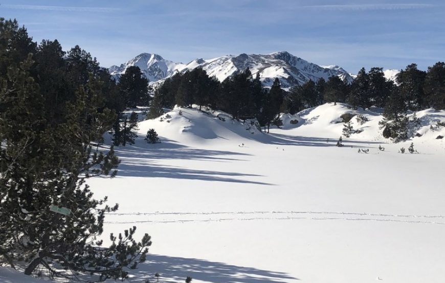 Journée raquette sur les hauts plateaux aux Angles