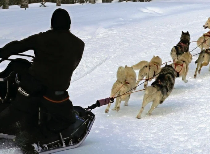 Votre plateforme de réservation d'activités dans les Pyrénées-Orientales