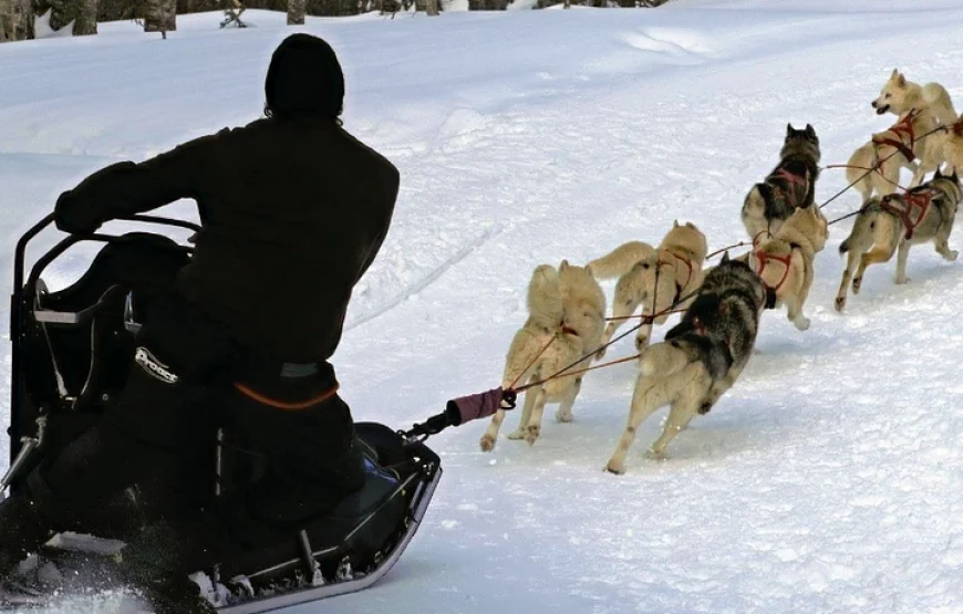 Baptême en chiens de traineaux à Porté-Puymorens