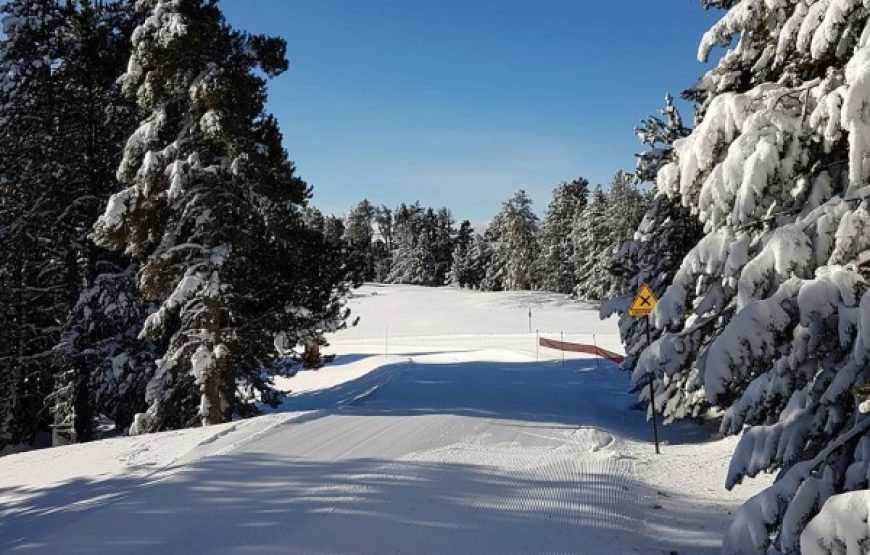 Forfait ski alpin – Journée