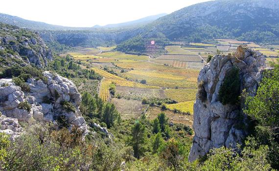 Jour 2 : Figueres - Espira de l’Agly - Tautavel (env 80 km)