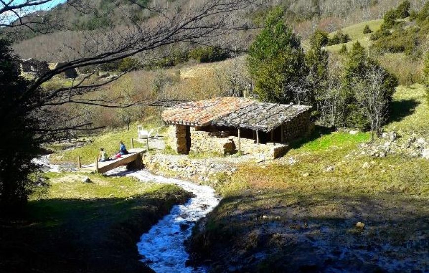 Randonnée botanique aux environs du Bugarach – 1 journée