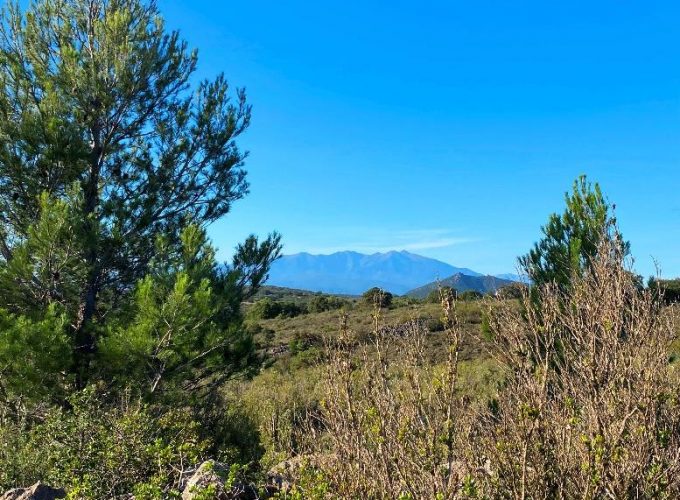 Votre plateforme de réservation d'activités dans les Pyrénées-Orientales